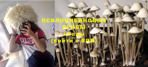 дурь Заволжск