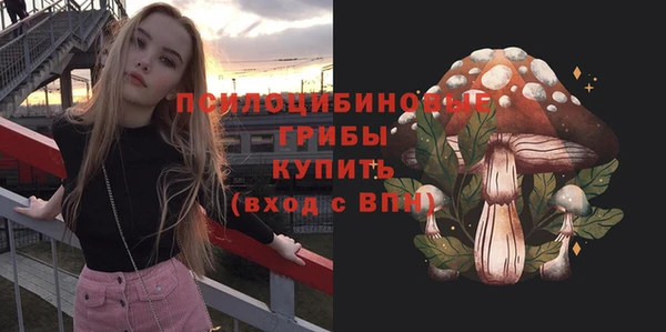 дживик Зеленокумск