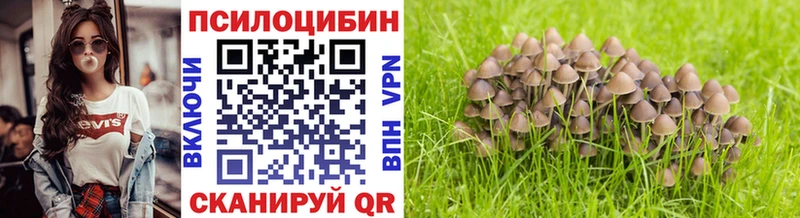 Псилоцибиновые грибы GOLDEN TEACHER  Купить где  Костомукша 