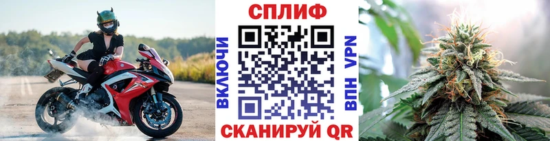Купить где  Костомукша  Конопля White Widow 